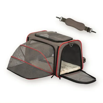 Carriers & travel