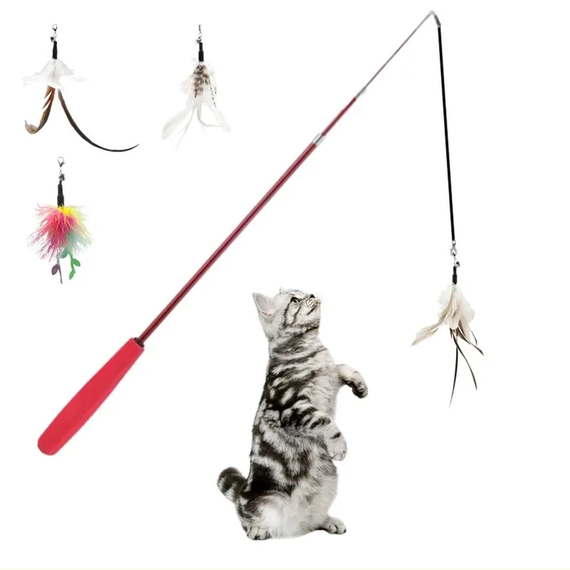 Canne teaser chat avec oiseau plume et accessoires