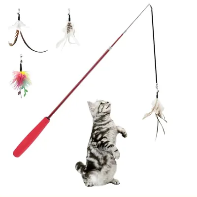 Cat Teaser Wand with Feather Bird and Replacement Attachments
