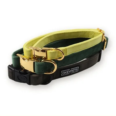 Velvet Dog and Cat Collar with Removable Bow and Leash