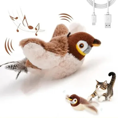 Cat toys