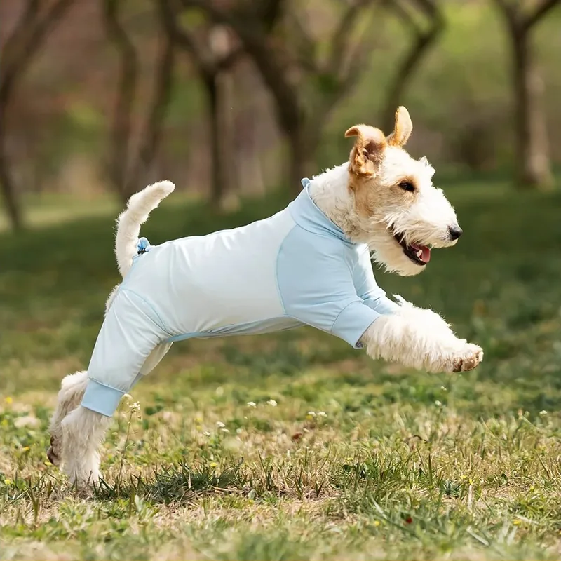 Lightweight Summer Dog Bodysuit with Sun Protection