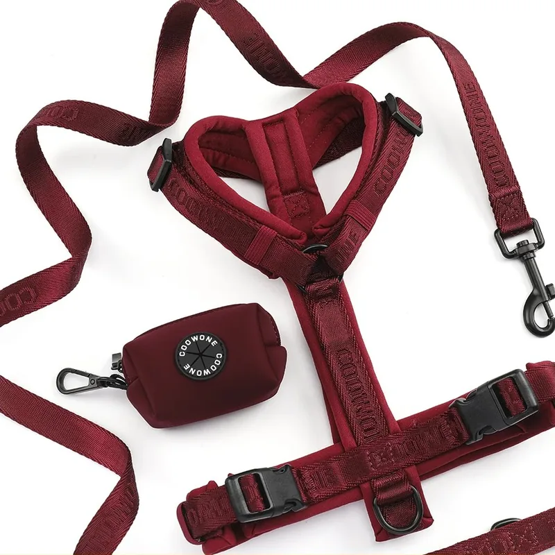 Y-Shaped Dog Harness with Reflective Details, Sizes XS–L