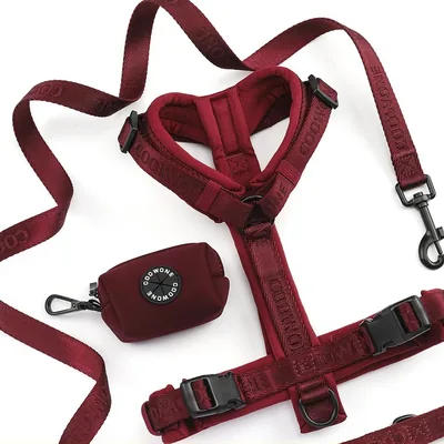 Y-Shaped Dog Harness with Reflective Details, Sizes XS–L