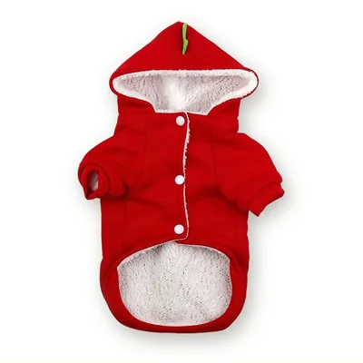 Warm Fleece Dog Hoodie for Autumn and Winter