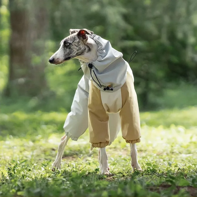 Gefütterter wasserdichter Hundeoverall mit Kapuze