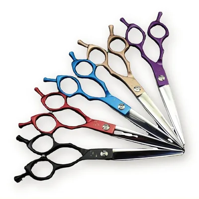 Professional 6.5″ Stainless Steel Pet Grooming Scissors