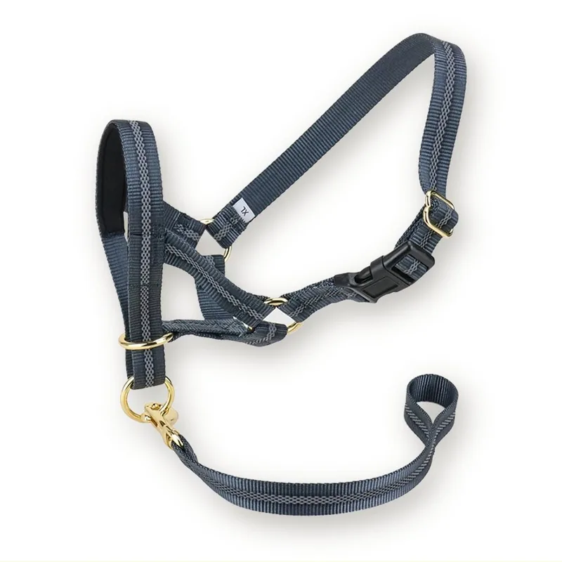 Reflective Padded Dog Head Collar with Safety Strap