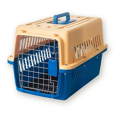 Plastic Cat Carrier Kennel with Metal Door, 48 cm