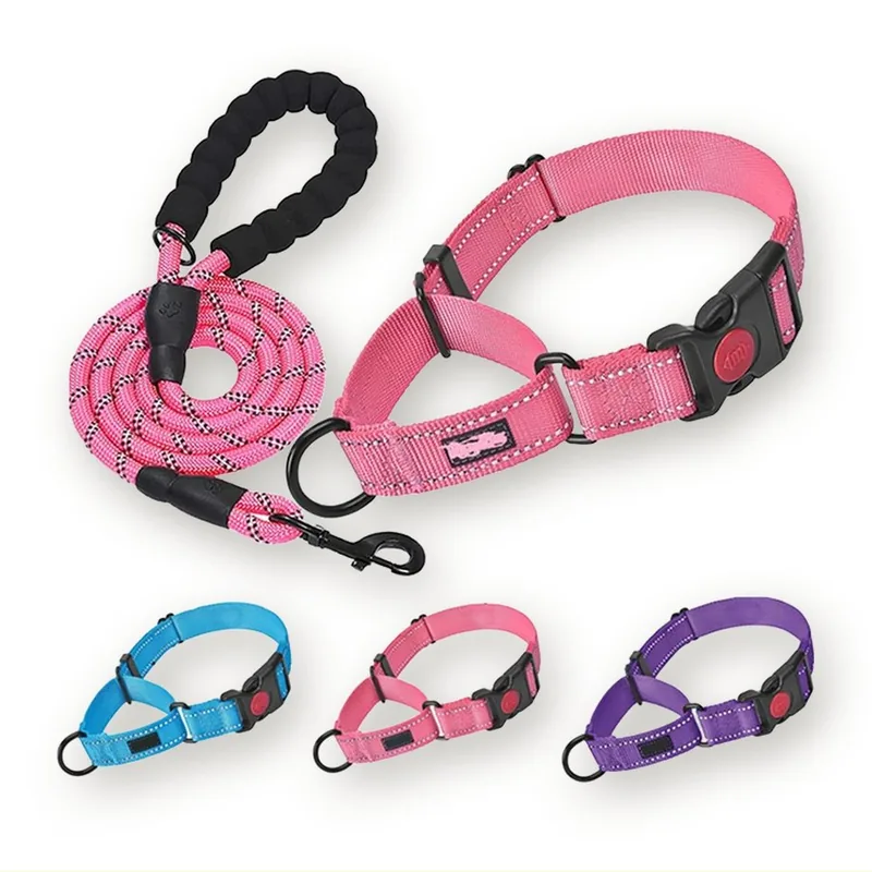 Reflective Martingale Dog Collar with Quick-Release Buckle