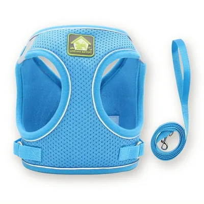 Reflective Mesh Vest Harness and Leash Set for Small Dogs
