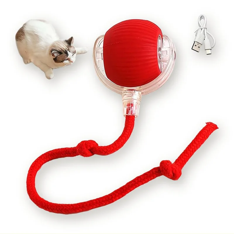 Balle auto-roulante interactive USB pour chats 5.5 cm