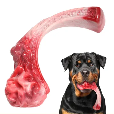 Beef-Flavoured Nylon Chew Bone for Dogs, Size S