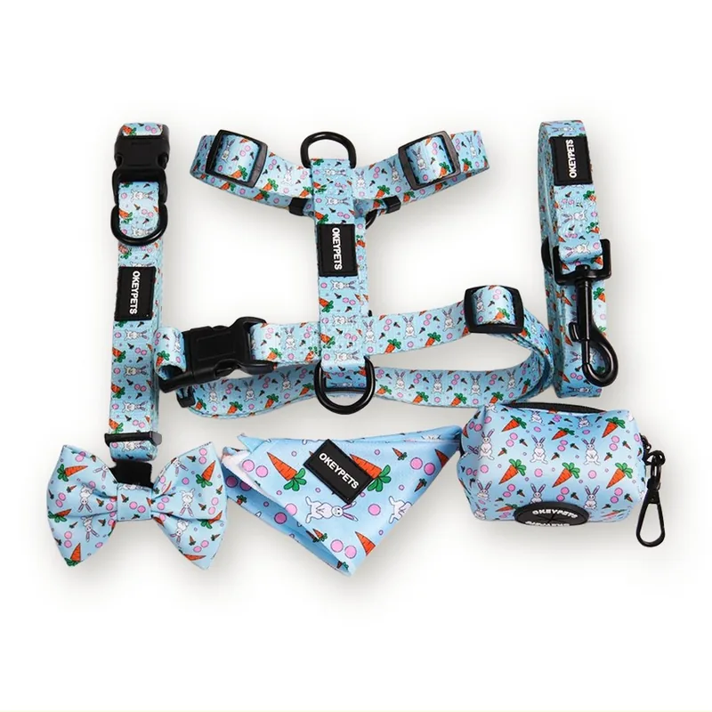 Puppy Harness and Leash Set with Sublimation Print