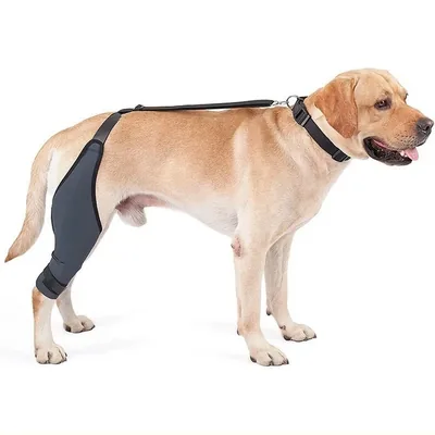 Neoprene Dog Elbow and Leg Protector Sleeve