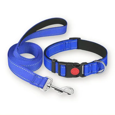 Reflective Dog Leash and Collar Set with Neoprene Padding