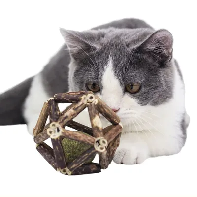Silvervine Stick Ball Cat Toy with Catnip Ball