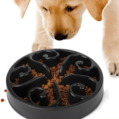 Slow Feeder Dog Bowl with Maze Pattern, 500 ml