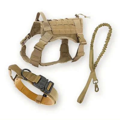 Tactical Dog Kit: Harness, Collar and Bungee Leash