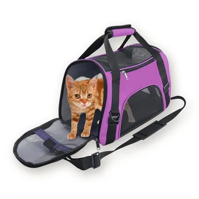 Zachte opvouwbare draagtas voor katten en kleine honden, 44 cm