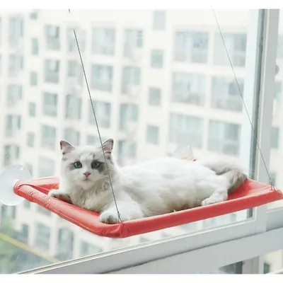 Cat Window Perch Hammock with Suction Cups, 55 × 35 cm