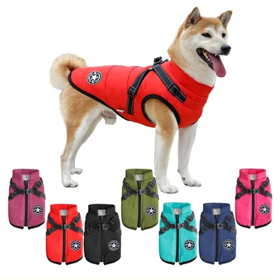 Waterproof Winter Dog Jacket with Reflective Details